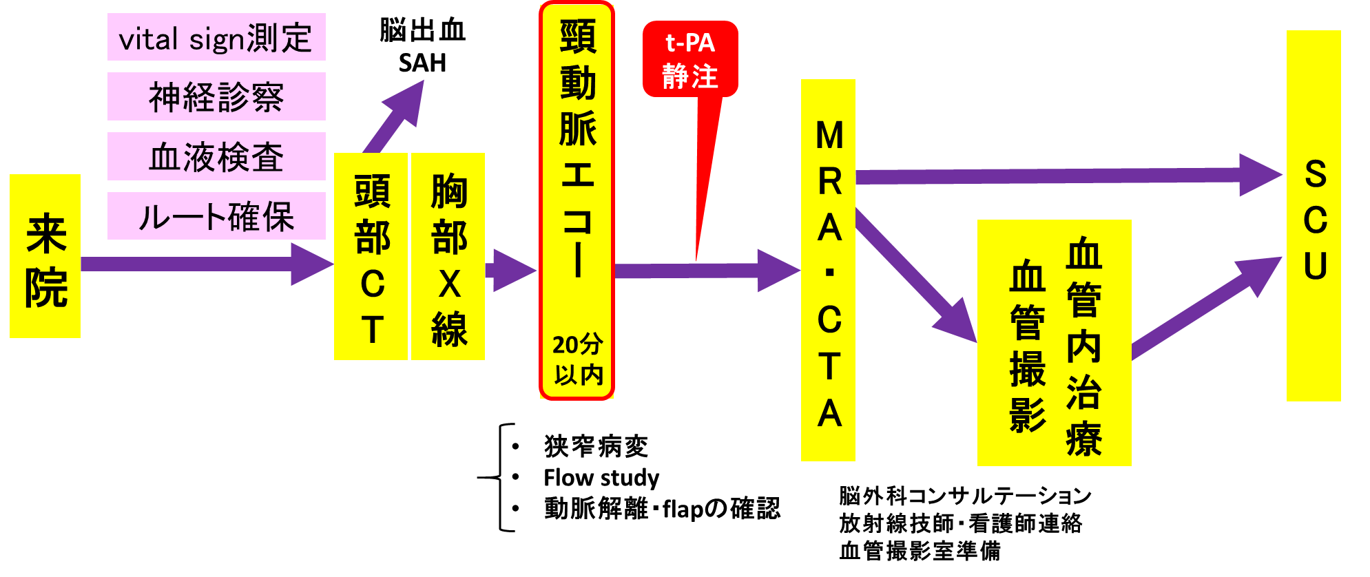 脳神経内科領域で威力を発揮する超音波検査