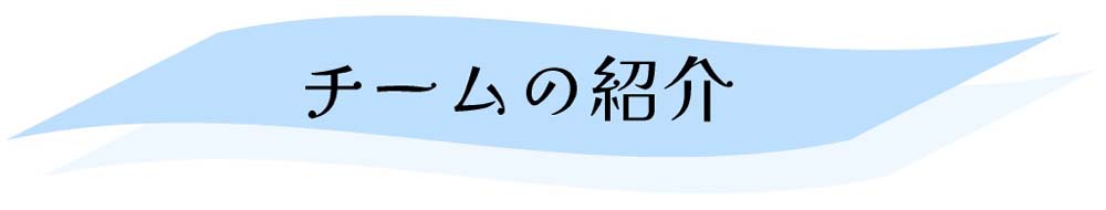 チームの紹介